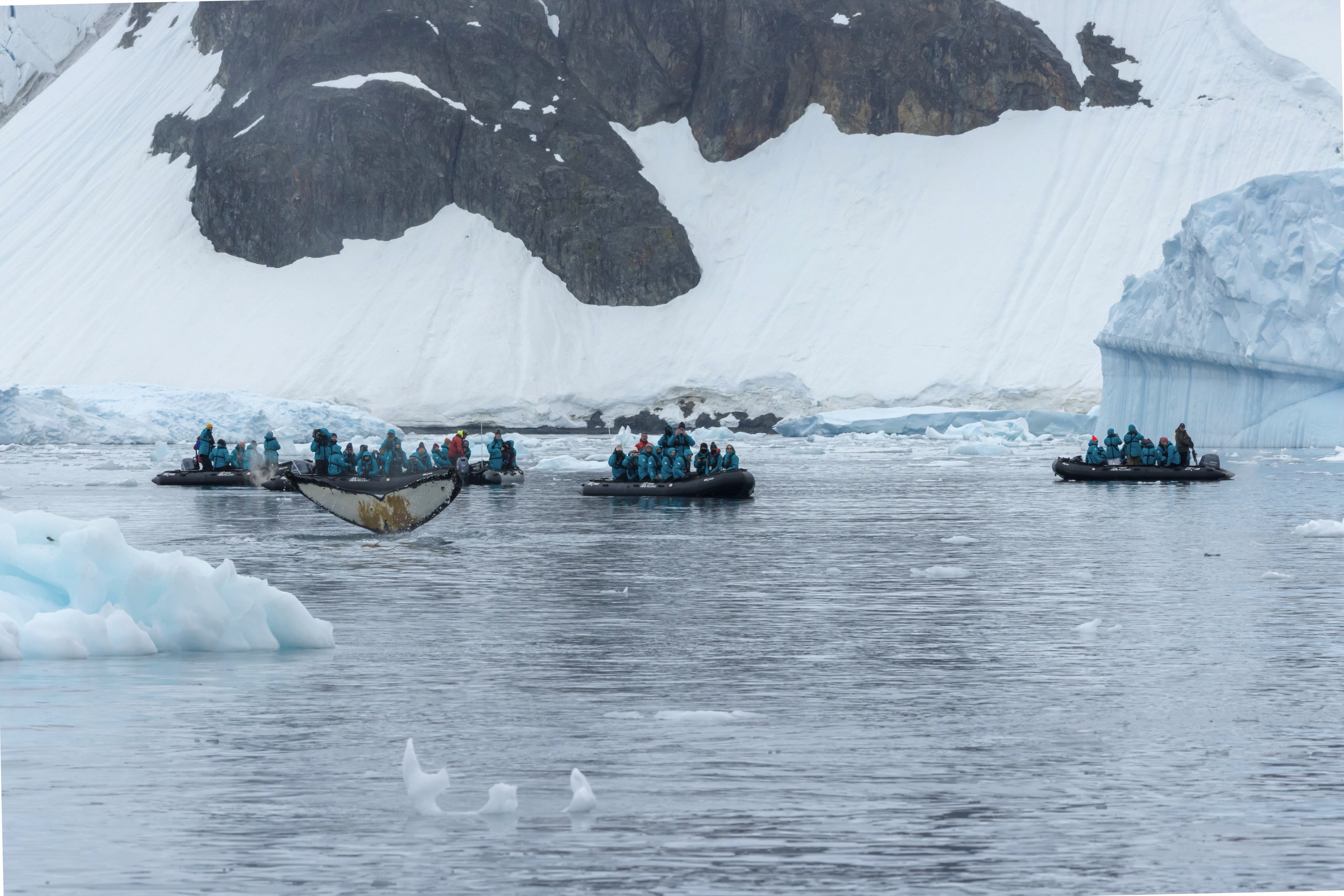 Excursions on SH Minerva